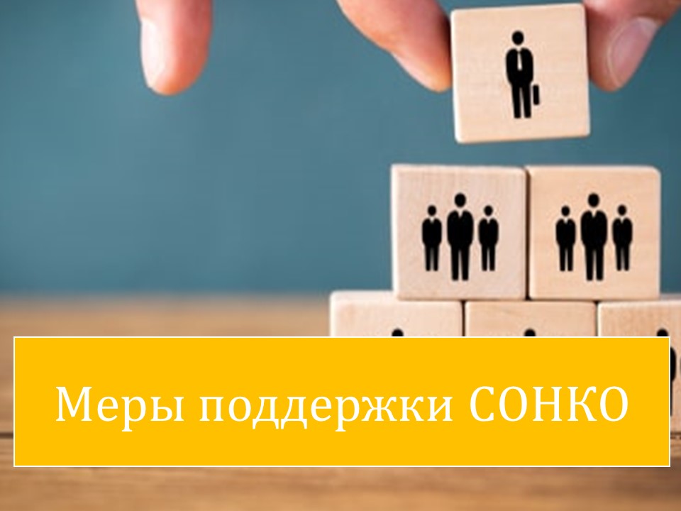 Поддержка социально-ориентированных и иных некоммерческих организаций.